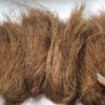 Automatic Palm Tree Bristle Fiber Making Machine