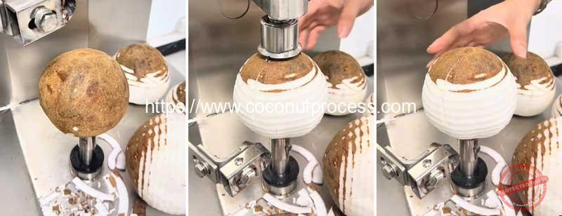 Automatic-Coconut-Brown-Kernel-Peeling-Machine