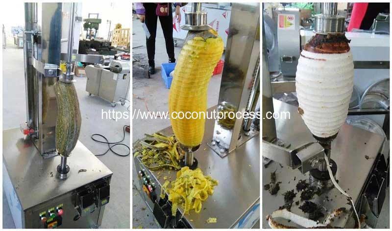 Vertical-Type-Coconut-Kernel-Peeling-Machine-Result