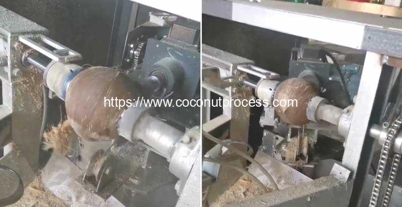 Automatic-Husked-Coconut-Fiber-Removing-Machine-Brush-Cleaning-Process