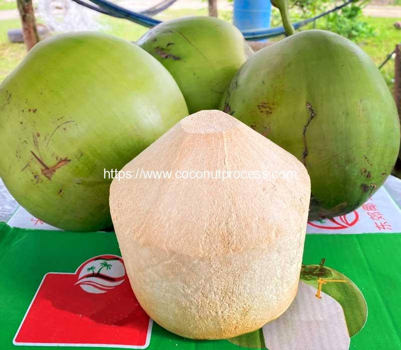 Automatic-Coconut-Peeling-Machine-Result
