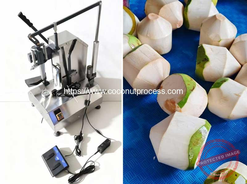 Automatic-Coconut-Peeling-Machine-for-Vietnam-Customer